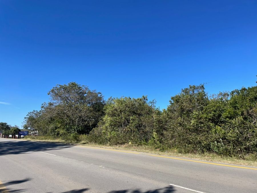 0 Bedroom Property for Sale in Bathurst Eastern Cape